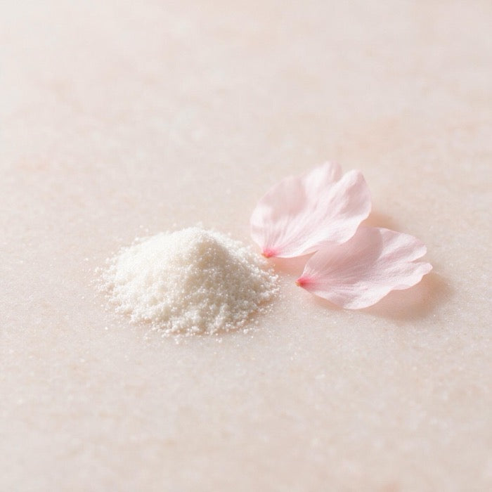 Pearl-white botanical extract powder beside two sakura petals